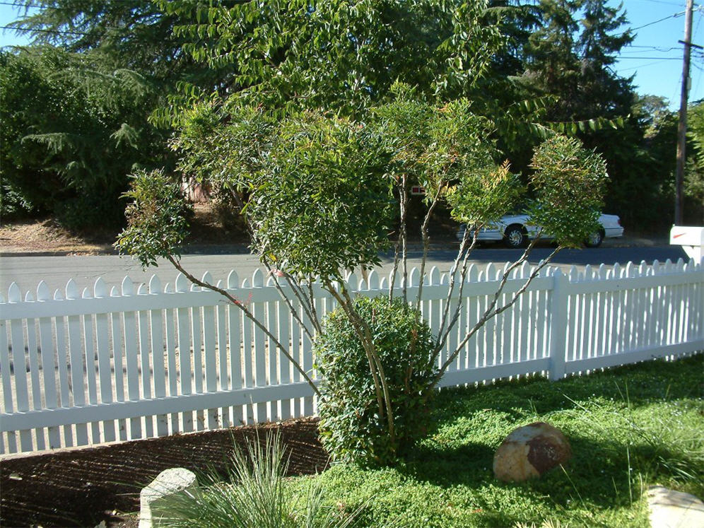 Simple White Picket Fence