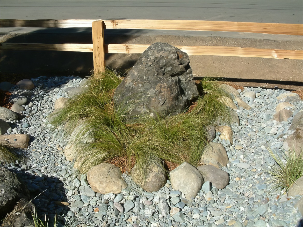 Carex Display