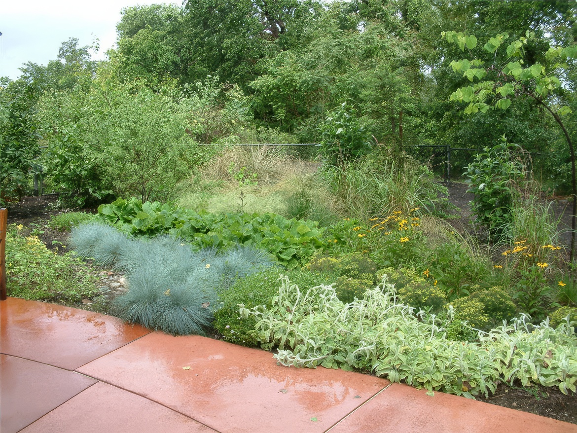 Shrub Border Near Exit