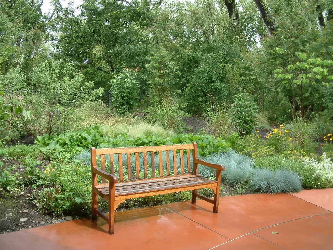 Bench Near Exit II