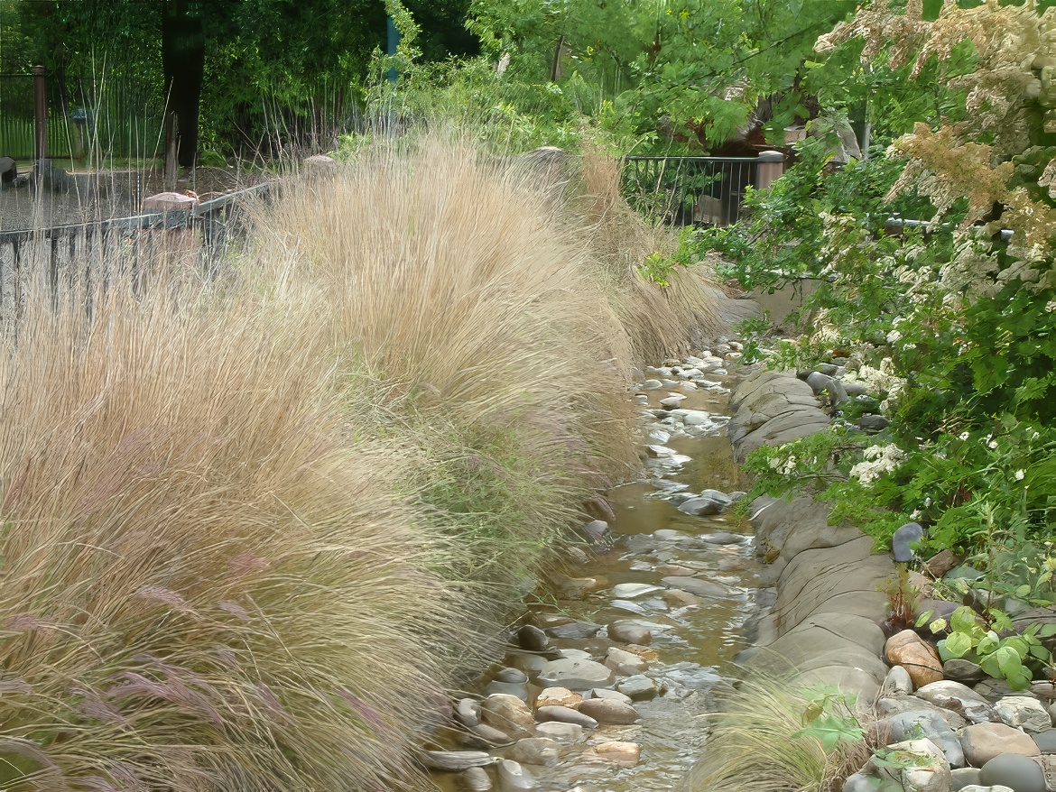Creek and Grasses