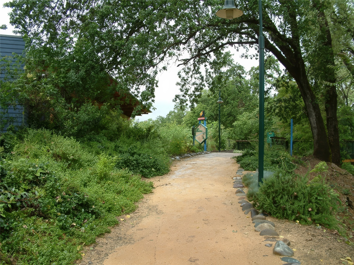 Path to Raptor Hollow II