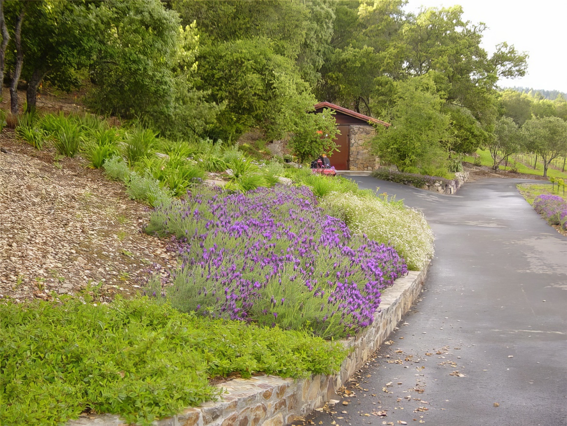 Driveway View