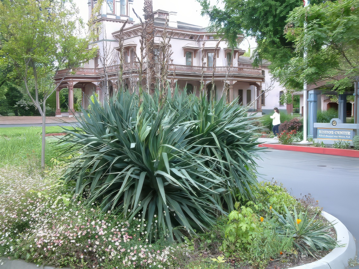 Bidwell Mansion