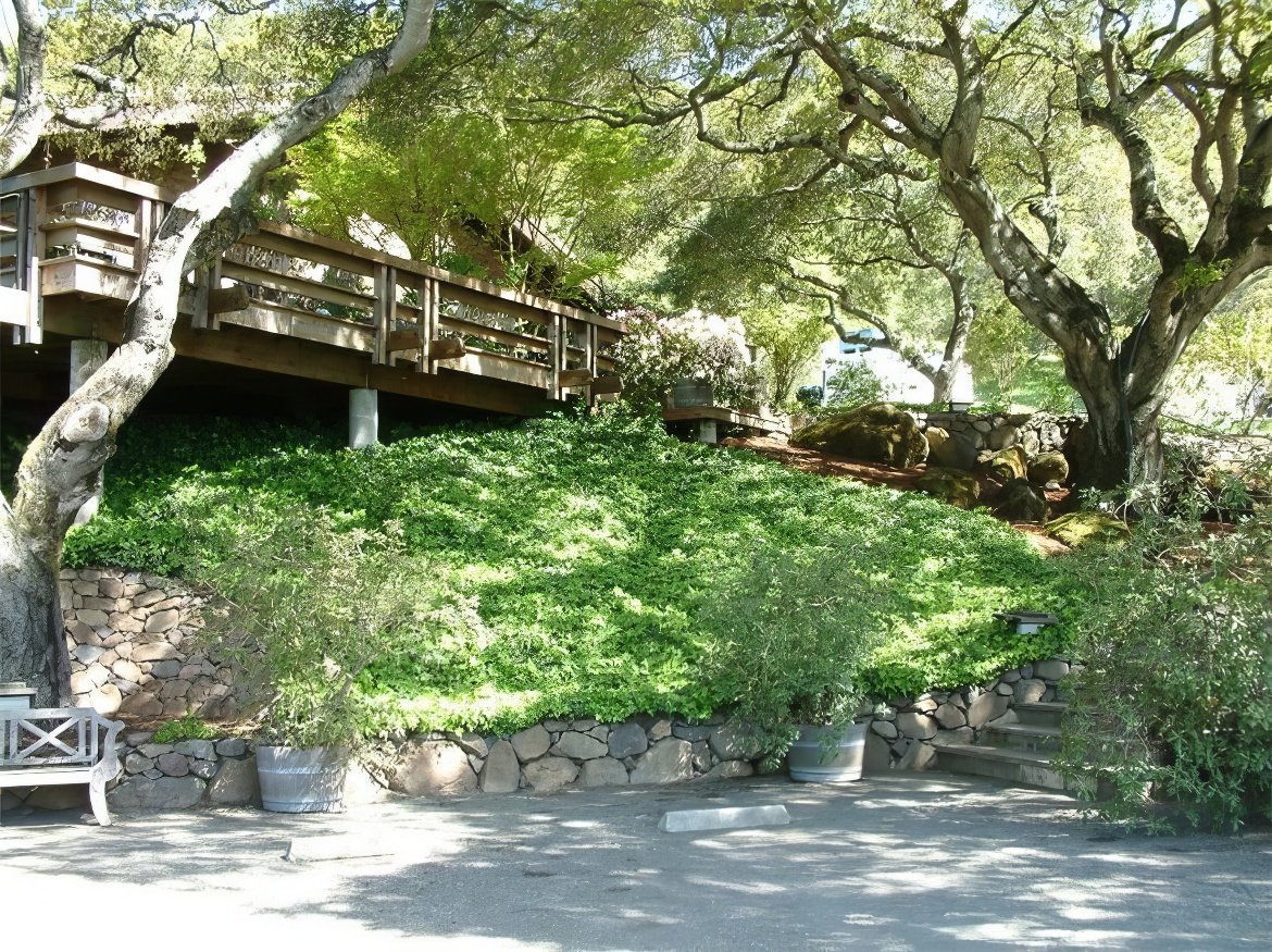 Oak and Ivy Hill