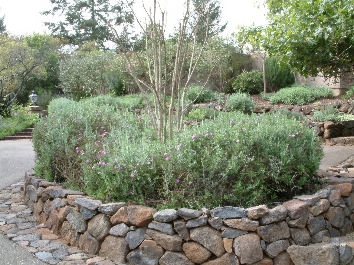 Rock Border and Wall