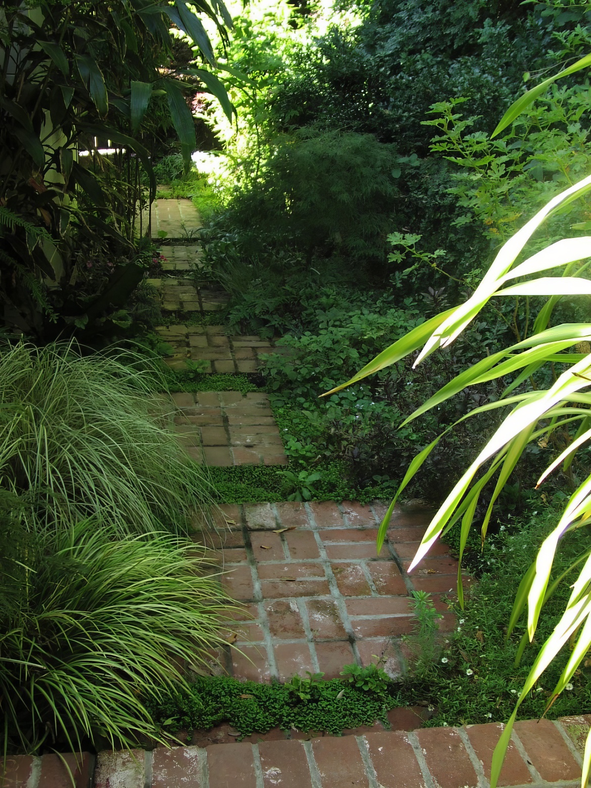 Shady Brick Walk