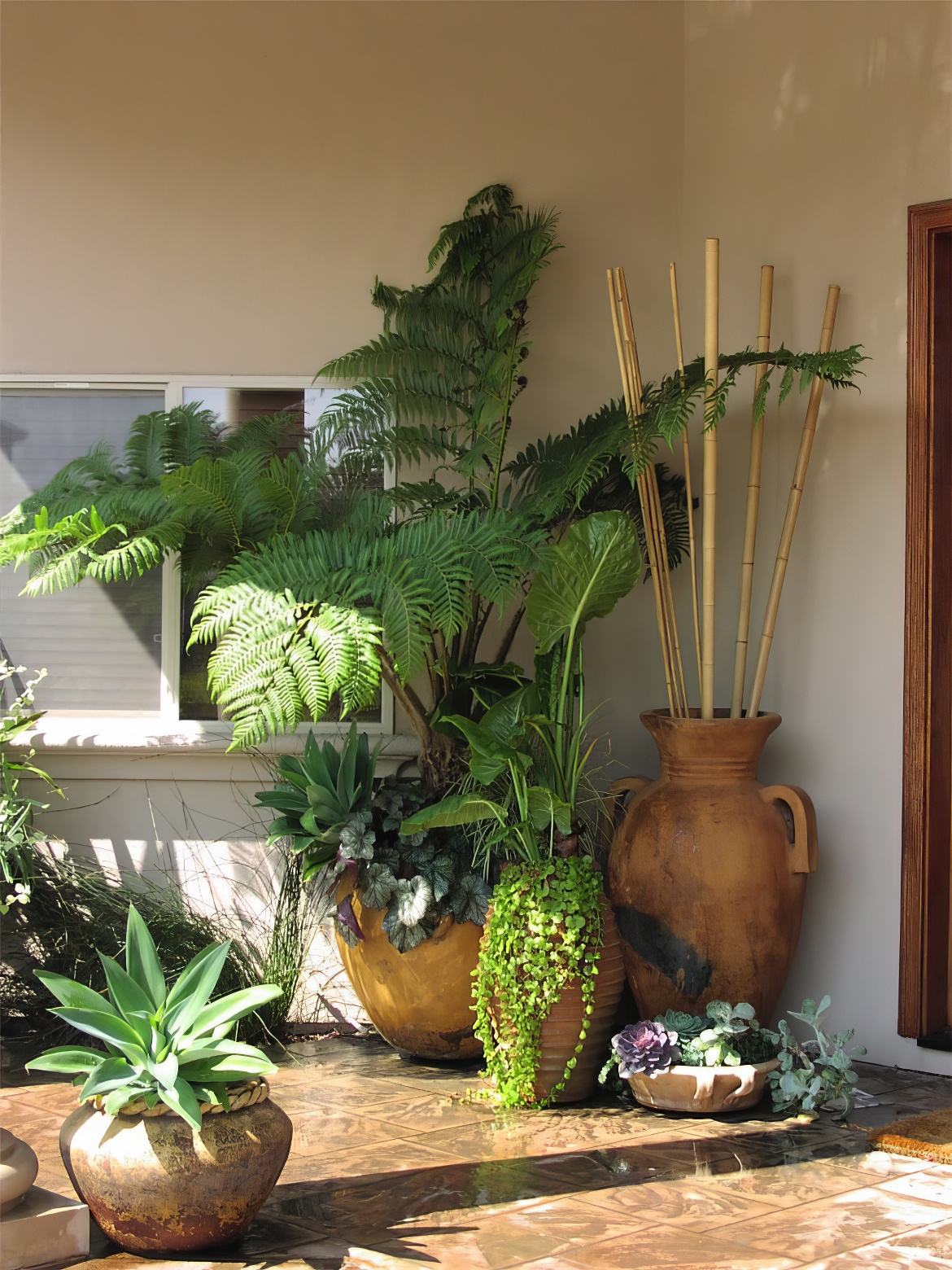 Patio Potted Garden