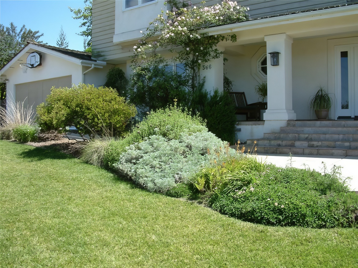 Natives with Lawn