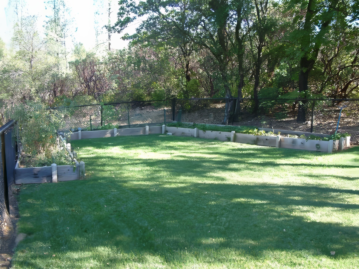 Back Play Space and Veggie Garden