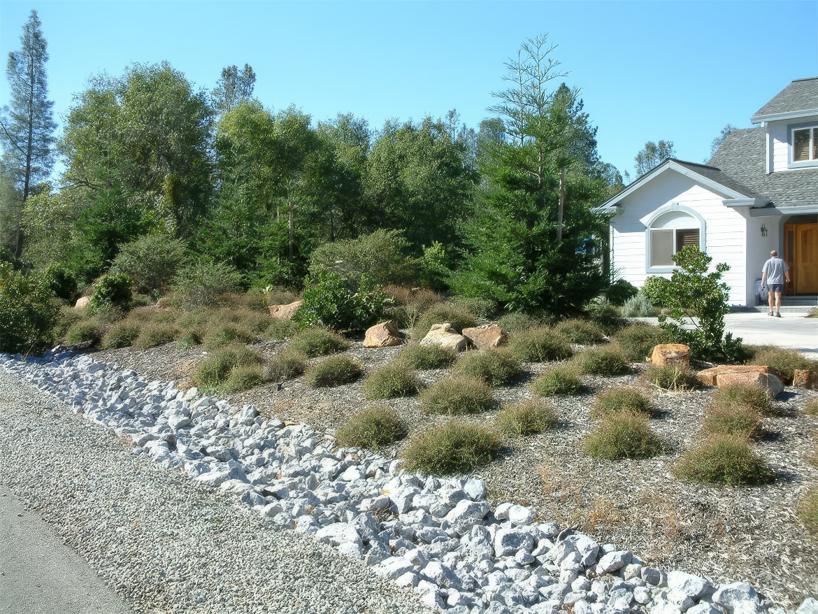 Swale along Drive