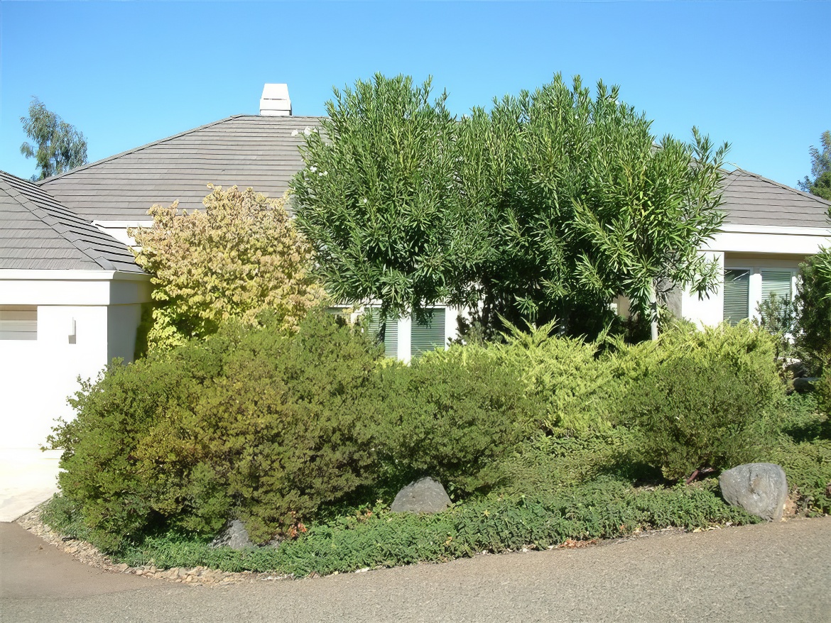 Shrub Plantings Waterwise