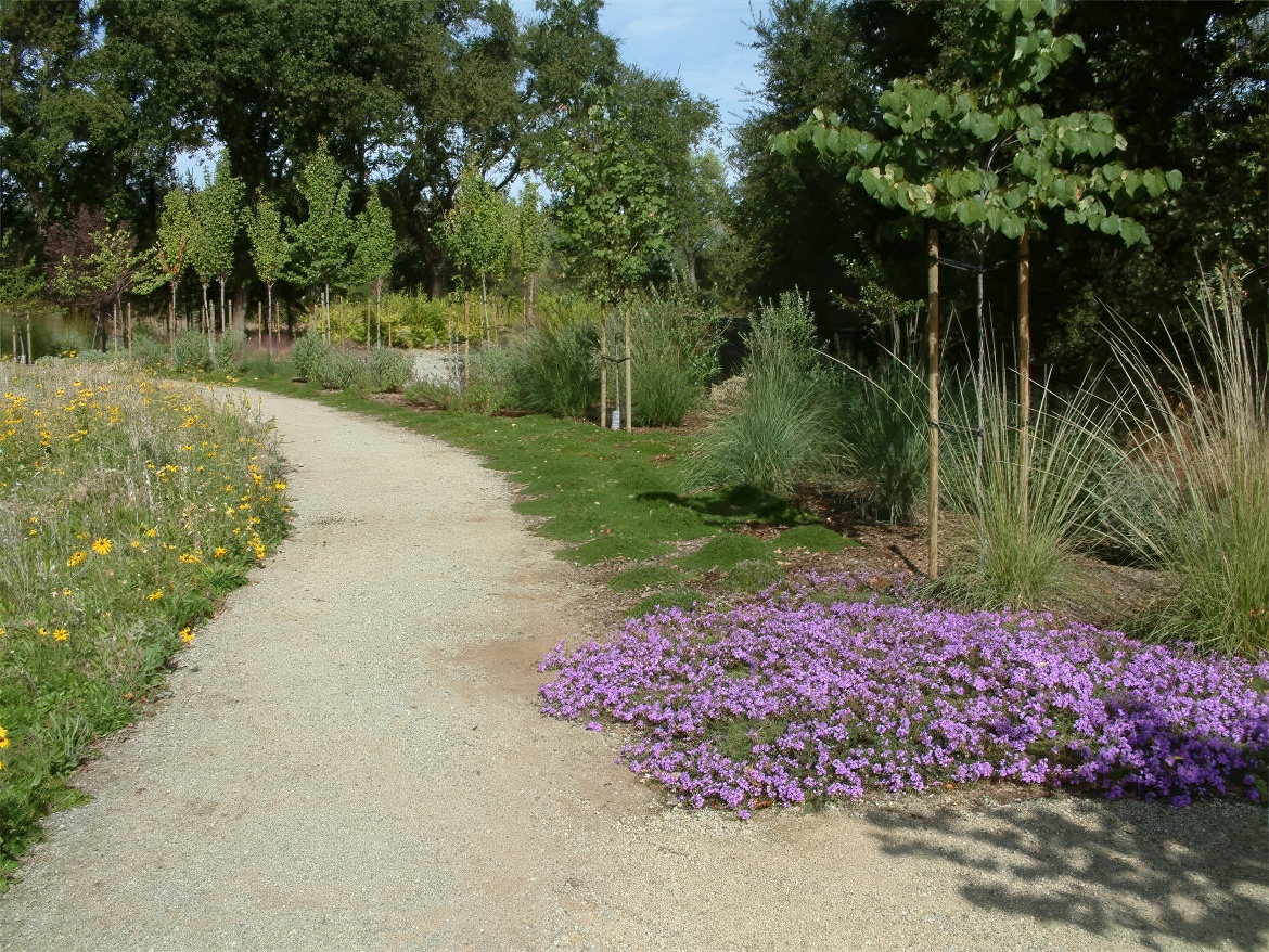 Peaceful Pathway