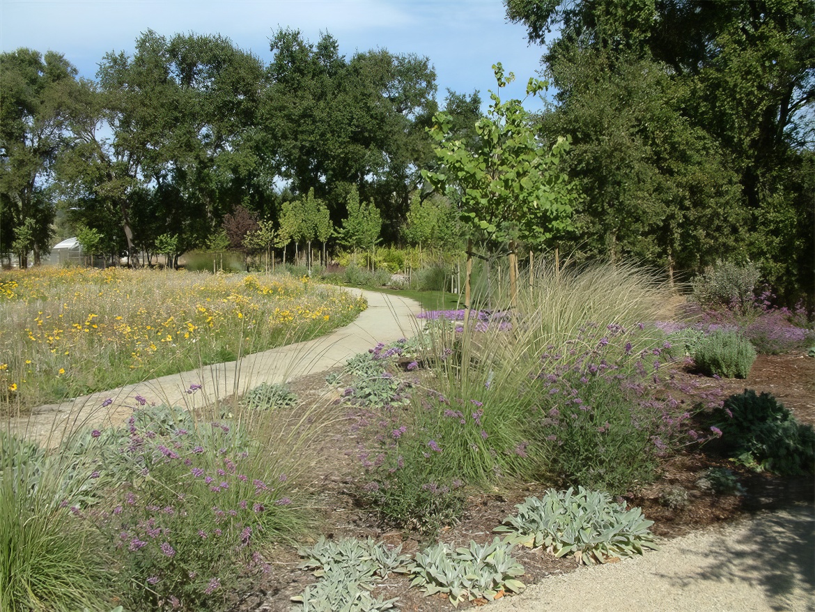 More Peaceful Pathway