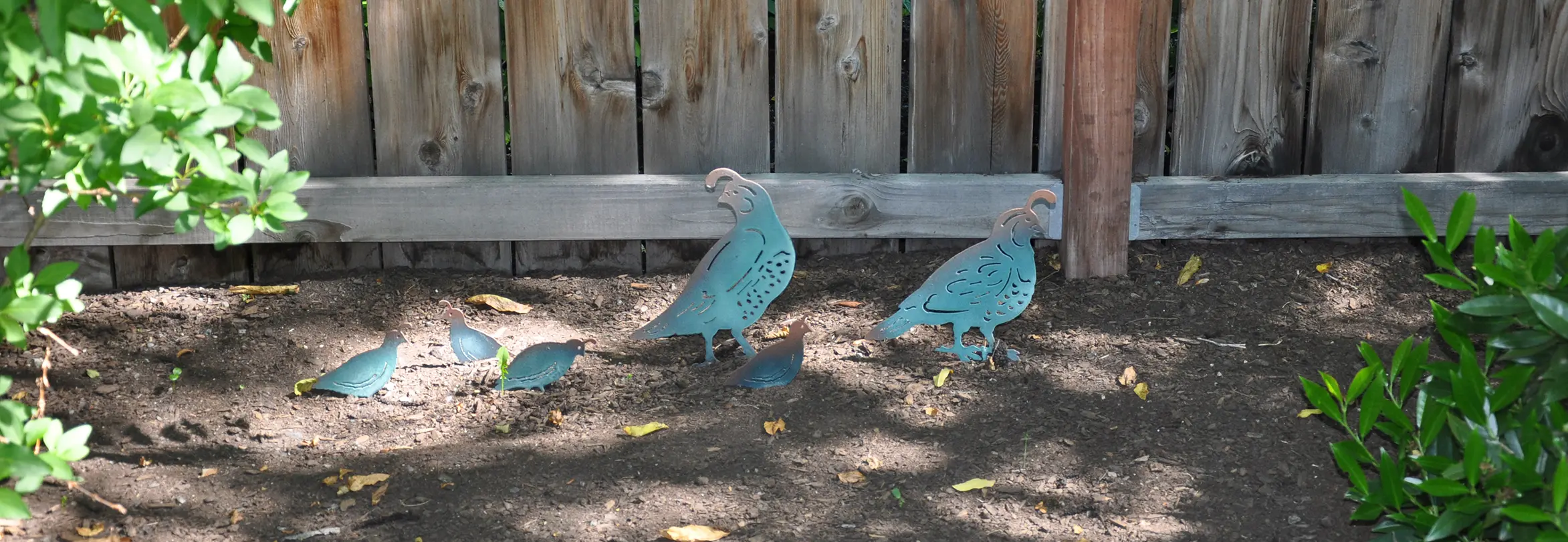 California quail artwork