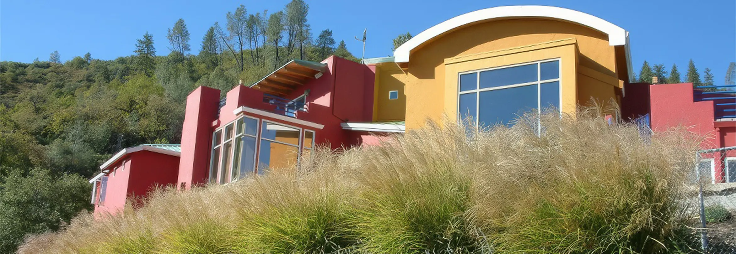 Drought-tolerant front yard